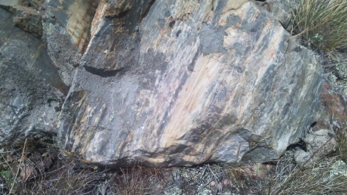 Гигантские зелёные валуны для ландшафтного дизайна весом более 5 тонн купить в Аше